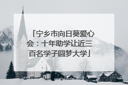 宁乡市向日葵爱心会：十年助学让近三百名学子圆梦大学