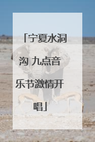 宁夏水洞沟 九点音乐节激情开唱