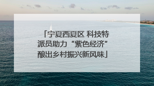 宁夏西夏区 科技特派员助力“紫色经济”酿出乡村振兴新风味