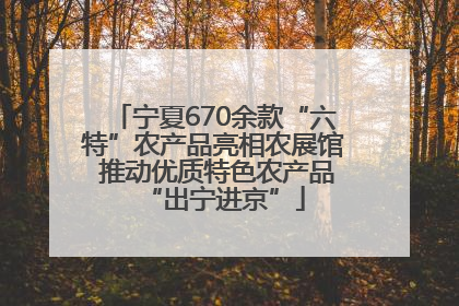 宁夏670余款“六特”农产品亮相农展馆 推动优质特色农产品“出宁进京”