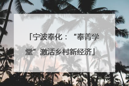 宁波奉化：“奉菁学堂”激活乡村新经济