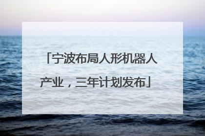 宁波布局人形机器人产业，三年计划发布
