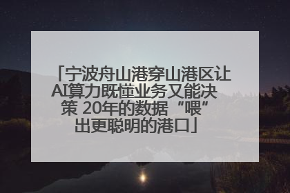 宁波舟山港穿山港区让AI算力既懂业务又能决策 20年的数据“喂”出更聪明的港口