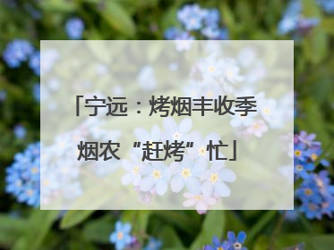 宁远：烤烟丰收季 烟农“赶烤”忙