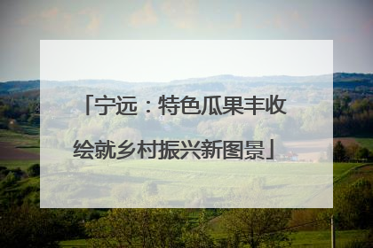 宁远：特色瓜果丰收绘就乡村振兴新图景