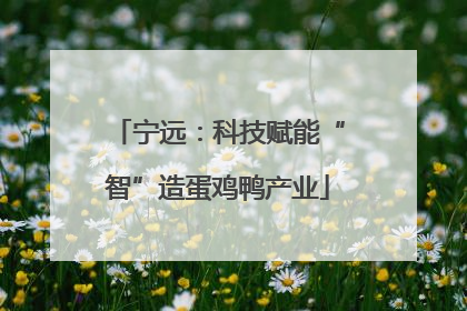 宁远：科技赋能“智”造蛋鸡鸭产业