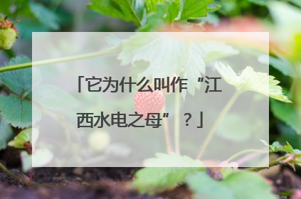 它为什么叫作“江西水电之母”？