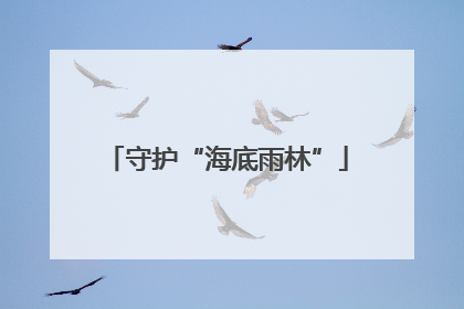 守护“海底雨林”