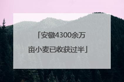 安徽4300余万亩小麦已收获过半
