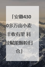 安徽4300多万亩小麦丰收有望 科技赋能颗粒归仓