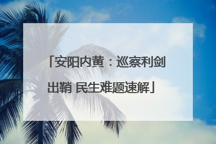 安阳内黄：巡察利剑出鞘 民生难题速解