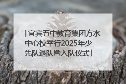 宜宾五中教育集团方水中心校举行2025年少先队退队暨入队仪式
