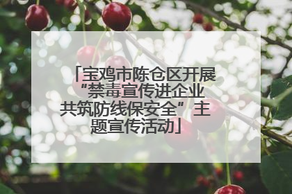 宝鸡市陈仓区开展“禁毒宣传进企业 共筑防线保安全”主题宣传活动