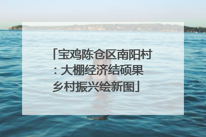 宝鸡陈仓区南阳村：大棚经济结硕果 乡村振兴绘新图