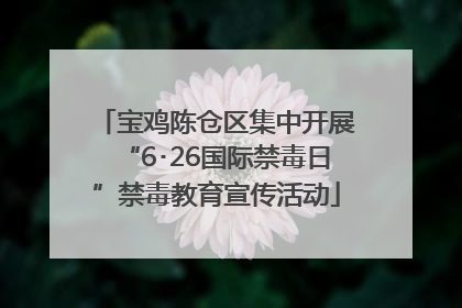 宝鸡陈仓区集中开展“6･26国际禁毒日”禁毒教育宣传活动