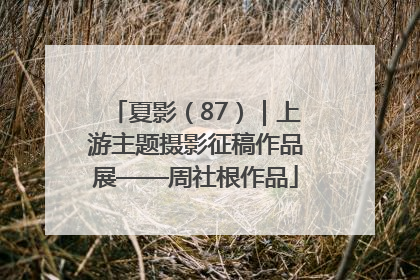 夏影（87）｜上游主题摄影征稿作品展——周社根作品