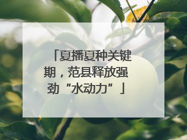 夏播夏种关键期，范县释放强劲“水动力”