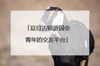 夏日古镇游园会 青年的交友平台