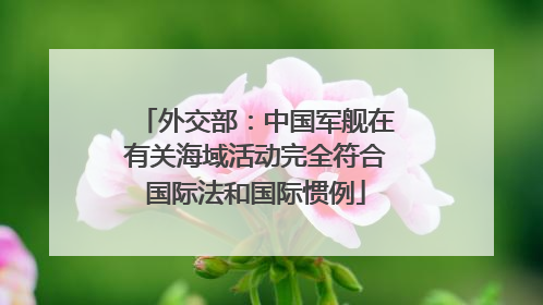 外交部：中国军舰在有关海域活动完全符合国际法和国际惯例