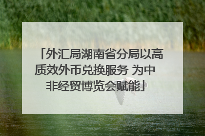 外汇局湖南省分局以高质效外币兑换服务 为中非经贸博览会赋能