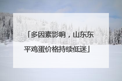 多因素影响，山东东平鸡蛋价格持续低迷