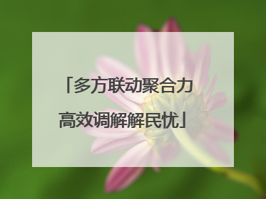 多方联动聚合力 高效调解解民忧