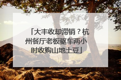大丰收却滞销？杭州餐厅老板驱车两小时收购山地土豆