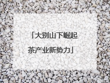大别山下崛起茶产业新势力