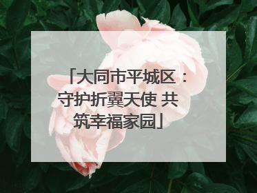 大同市平城区：守护折翼天使 共筑幸福家园