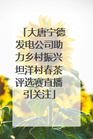 大唐宁德发电公司助力乡村振兴坦洋村春茶评选赛直播引关注