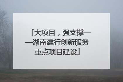 大项目，强支撑——湖南建行创新服务重点项目建设