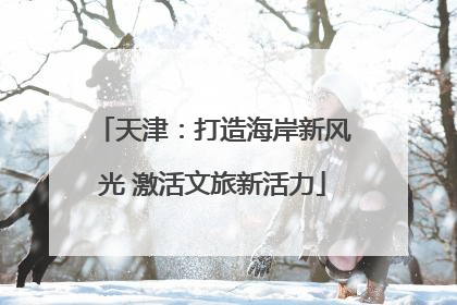 天津：打造海岸新风光 激活文旅新活力