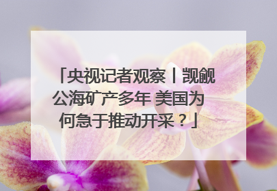 央视记者观察丨觊觎公海矿产多年 美国为何急于推动开采？