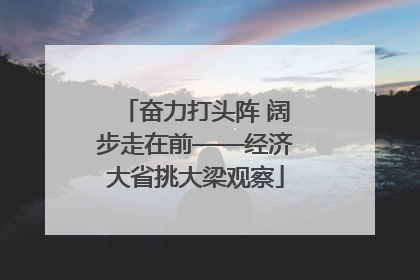 奋力打头阵 阔步走在前——经济大省挑大梁观察