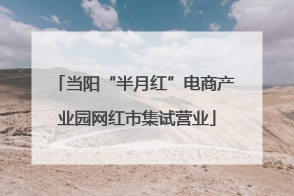当阳“半月红”电商产业园网红市集试营业