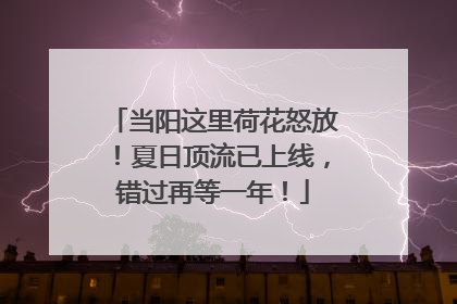 当阳这里荷花怒放！夏日顶流已上线，错过再等一年！