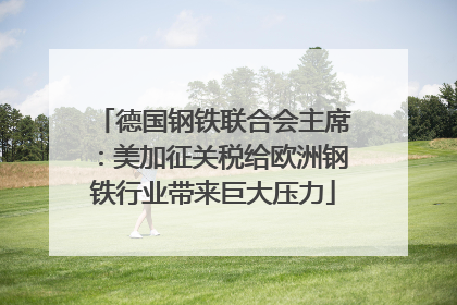 德国钢铁联合会主席：美加征关税给欧洲钢铁行业带来巨大压力