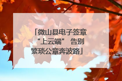 微山县电子签章“上云端” 告别繁琐公章奔波路