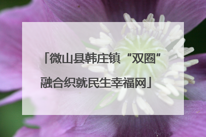 微山县韩庄镇“双圈”融合织就民生幸福网