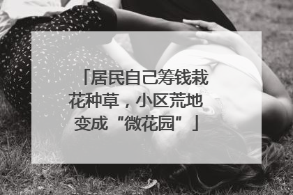 居民自己筹钱栽花种草，小区荒地变成“微花园”