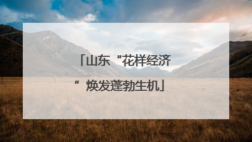 山东“花样经济”焕发蓬勃生机