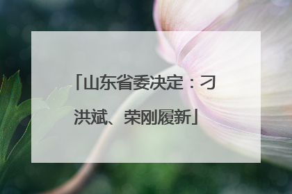 山东省委决定：刁洪斌、荣刚履新