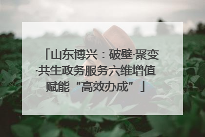 山东博兴：破壁·聚变·共生政务服务六维增值赋能“高效办成”