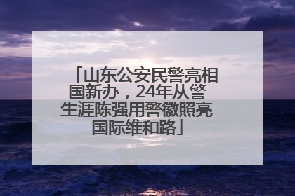 山东公安民警亮相国新办，24年从警生涯陈强用警徽照亮国际维和路