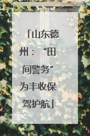 山东德州：“田间警务”为丰收保驾护航