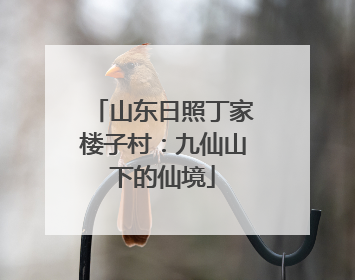 山东日照丁家楼子村：九仙山下的仙境