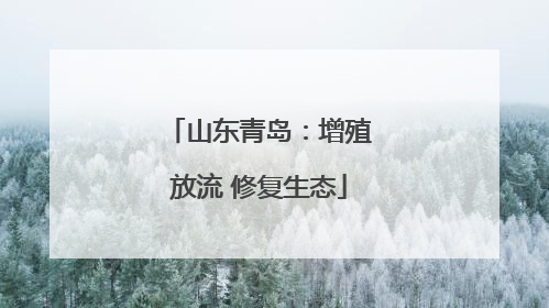 山东青岛：增殖放流 修复生态