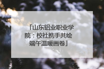 山东铝业职业学院：校社携手共绘端午温暖画卷