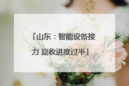 山东：智能设备接力 夏收进度过半