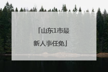 山东1市最新人事任免